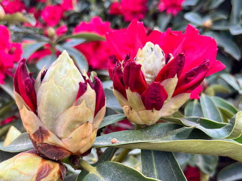 23-06-03 16-35-15 5783